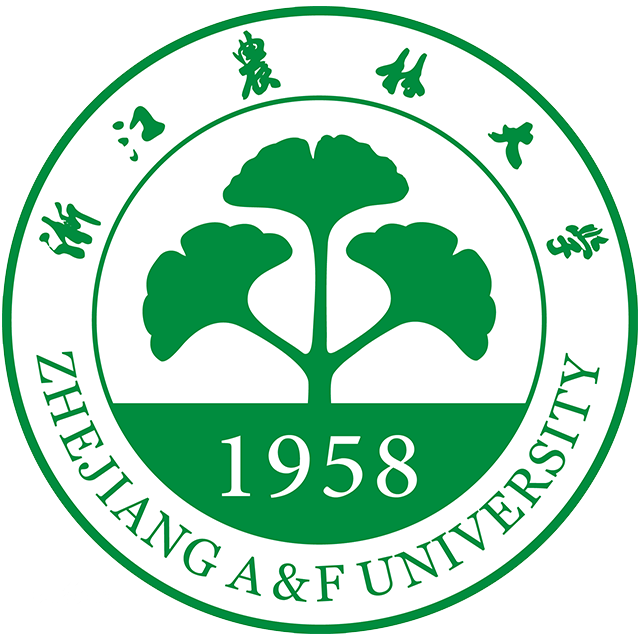 腾龙集团(中国)有限公司官网